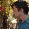 Experience the Jewish Film Festival in Indianapolis: Special Screenings and Events for People with Disabilities